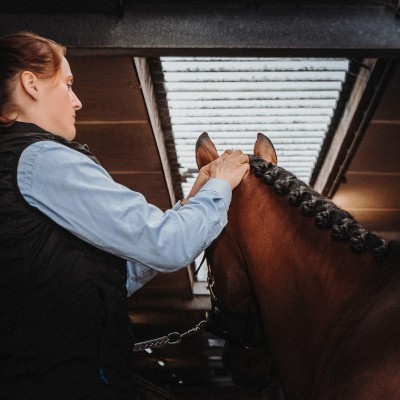 The horses at our stable are our most important business card. That’s why we give them the care they need every day to grow, improve and perform to the best of their abilities.