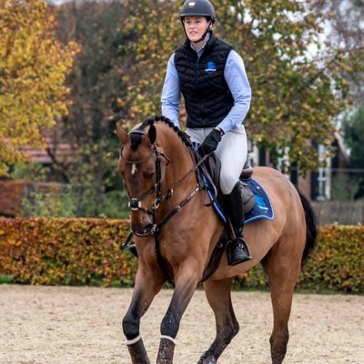 In our daily training we focus on teaching the horses a system or way of riding which allows anyone to hop on and ride around easily.